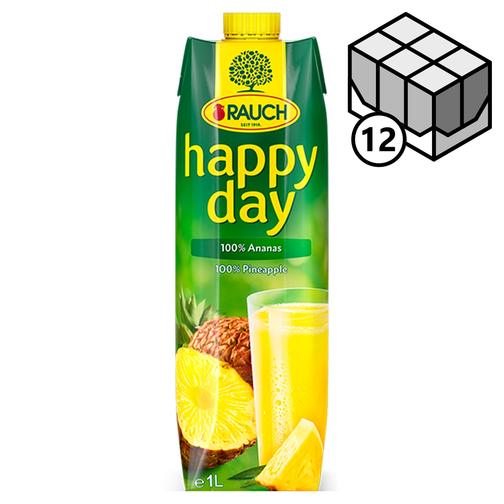 HAPPY DAY 100% ananas  12 x 1 l  TP